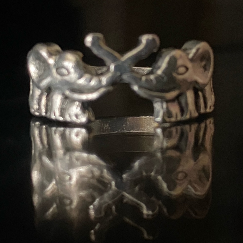 Elephant Ring - Picture 2 of 2